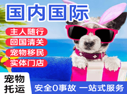 昆明长水机场物流国际宠物托运 【国